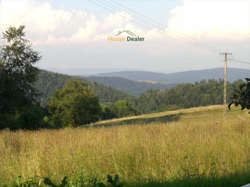 Działka w Bieszczadach z widokiem na góry i rzekę Czaszyn, Brzozowiec  3 418m2 Foto 1