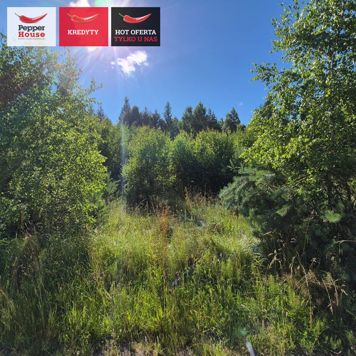 Zapraszam do zakupu działki 1563 m² w Domatówku z lasem i jeziorem Domatówko, Sosnowa  1 563m2 Foto 1