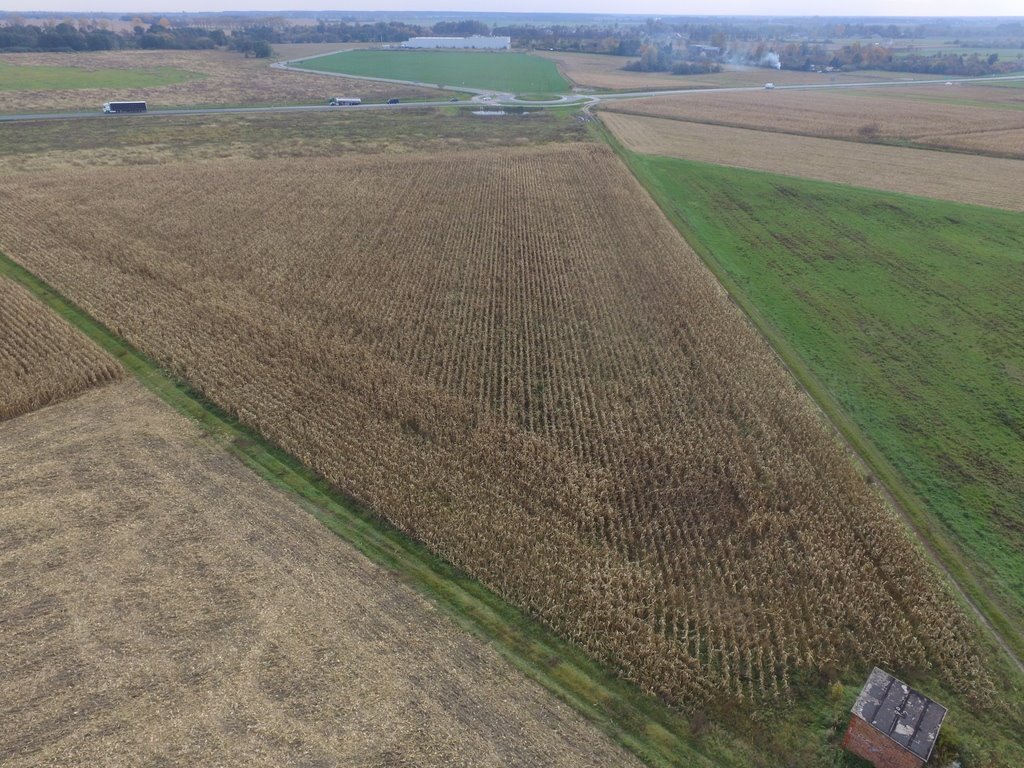 Działka komercyjna na sprzedaż Oleśnica  11 736m2 Foto 1