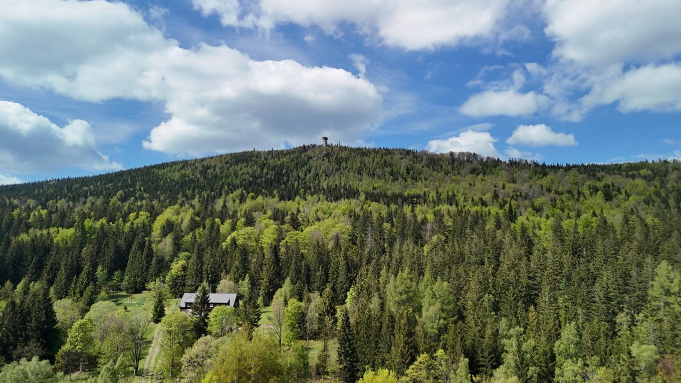 Mieszkanie trzypokojowe na sprzedaż Szklarska Poręba  50m2 Foto 6