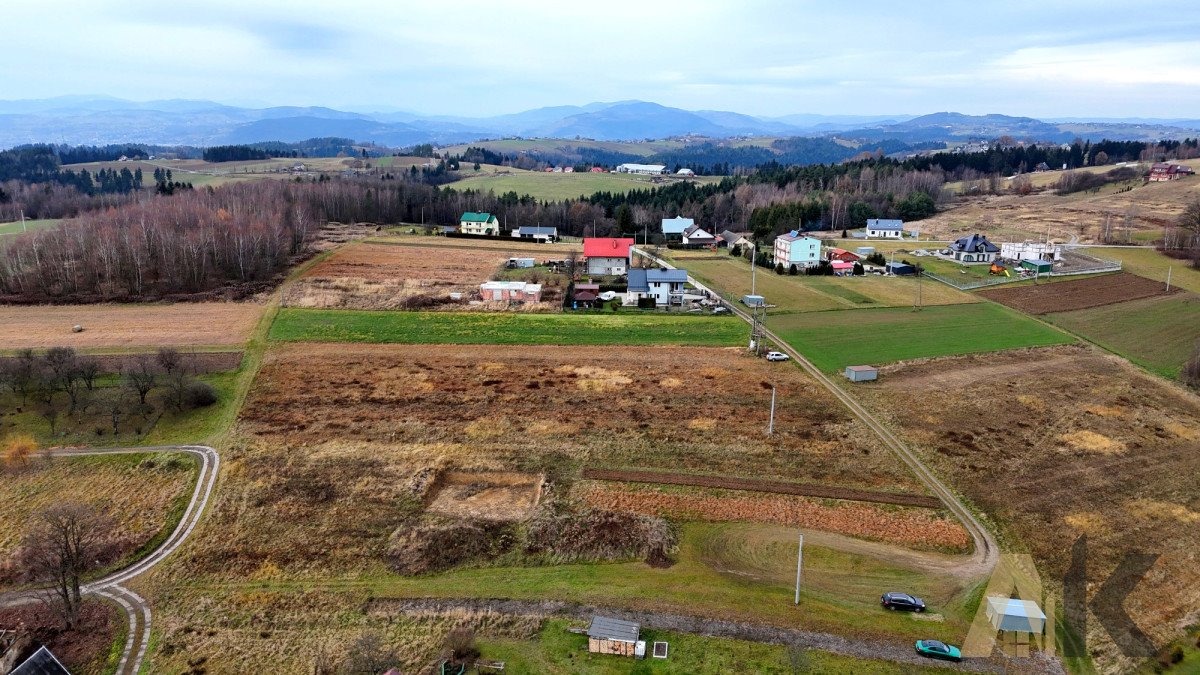 Działka budowlana na sprzedaż Paszyn  5 400m2 Foto 9