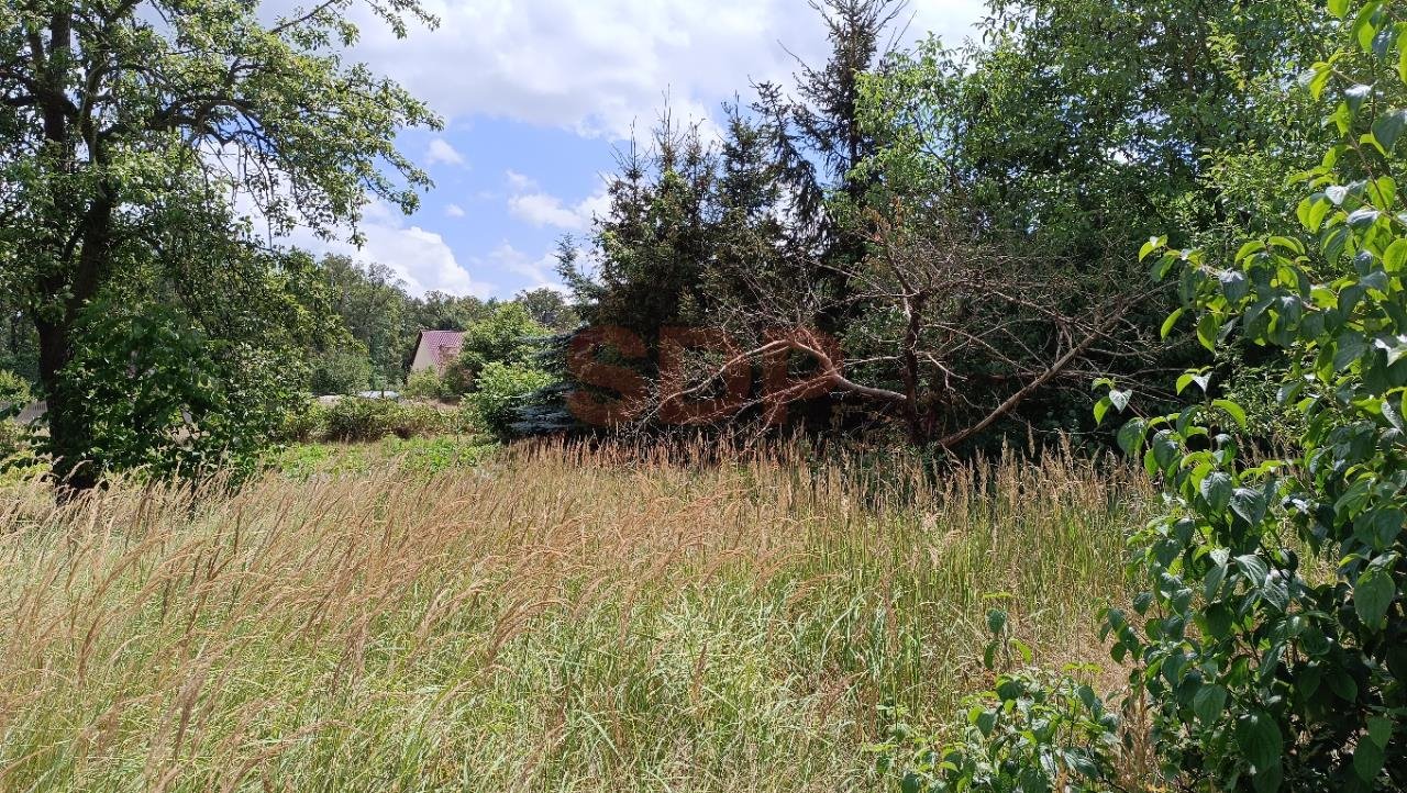 Działka budowlana na sprzedaż Kotowice  1 600m2 Foto 6