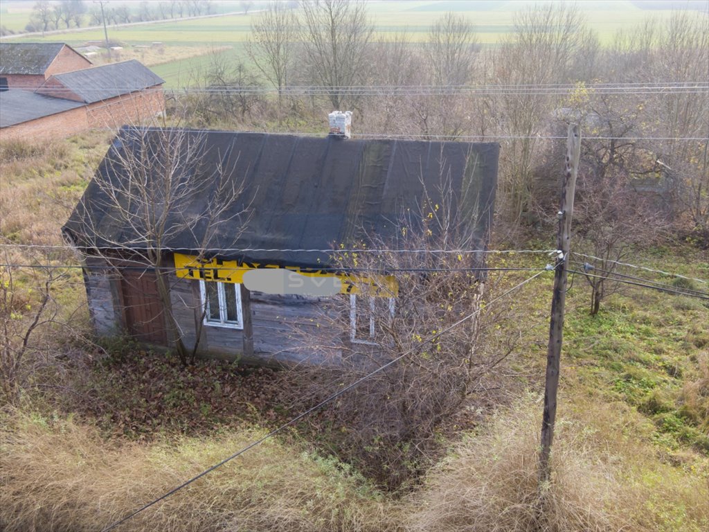 Działka budowlana na sprzedaż Jedlno Pierwsze  9 100m2 Foto 3