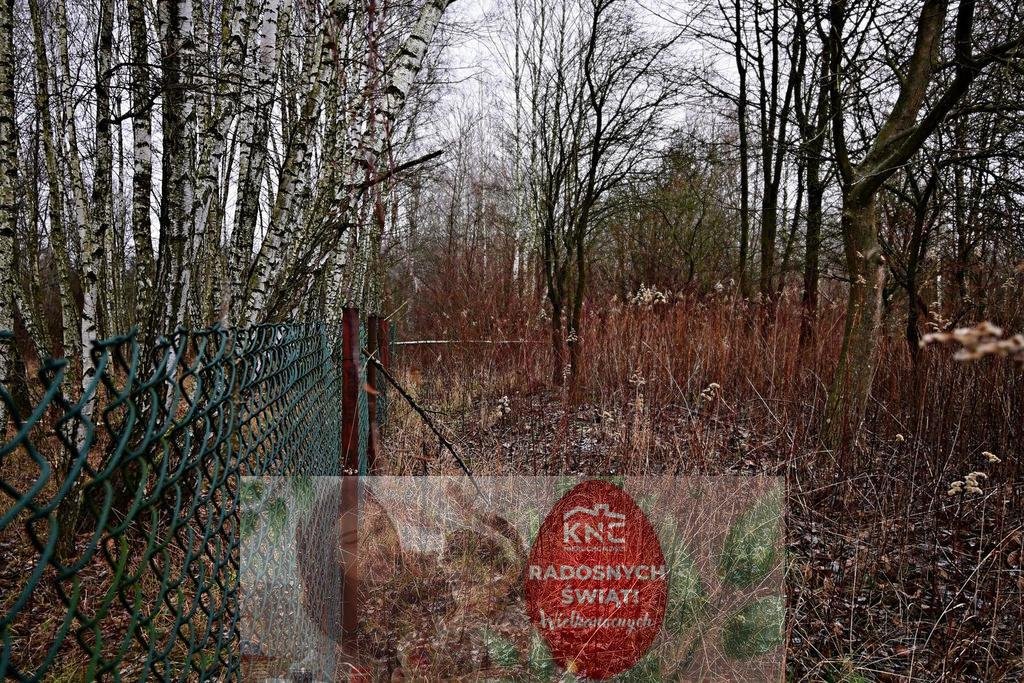 Działka pod dom w Kazimierzu Dolnym, 65 ar, media w trakcie Kazimierz Dolny  6 533m2 Foto 1