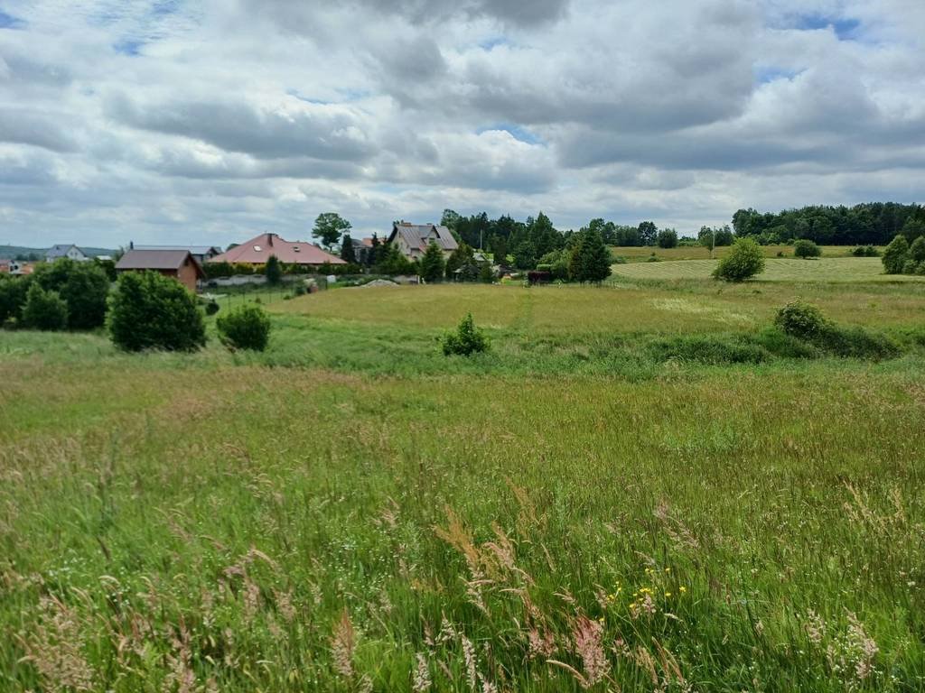 Działka budowlana na sprzedaż Kamela, Wiktorii  1 121m2 Foto 1