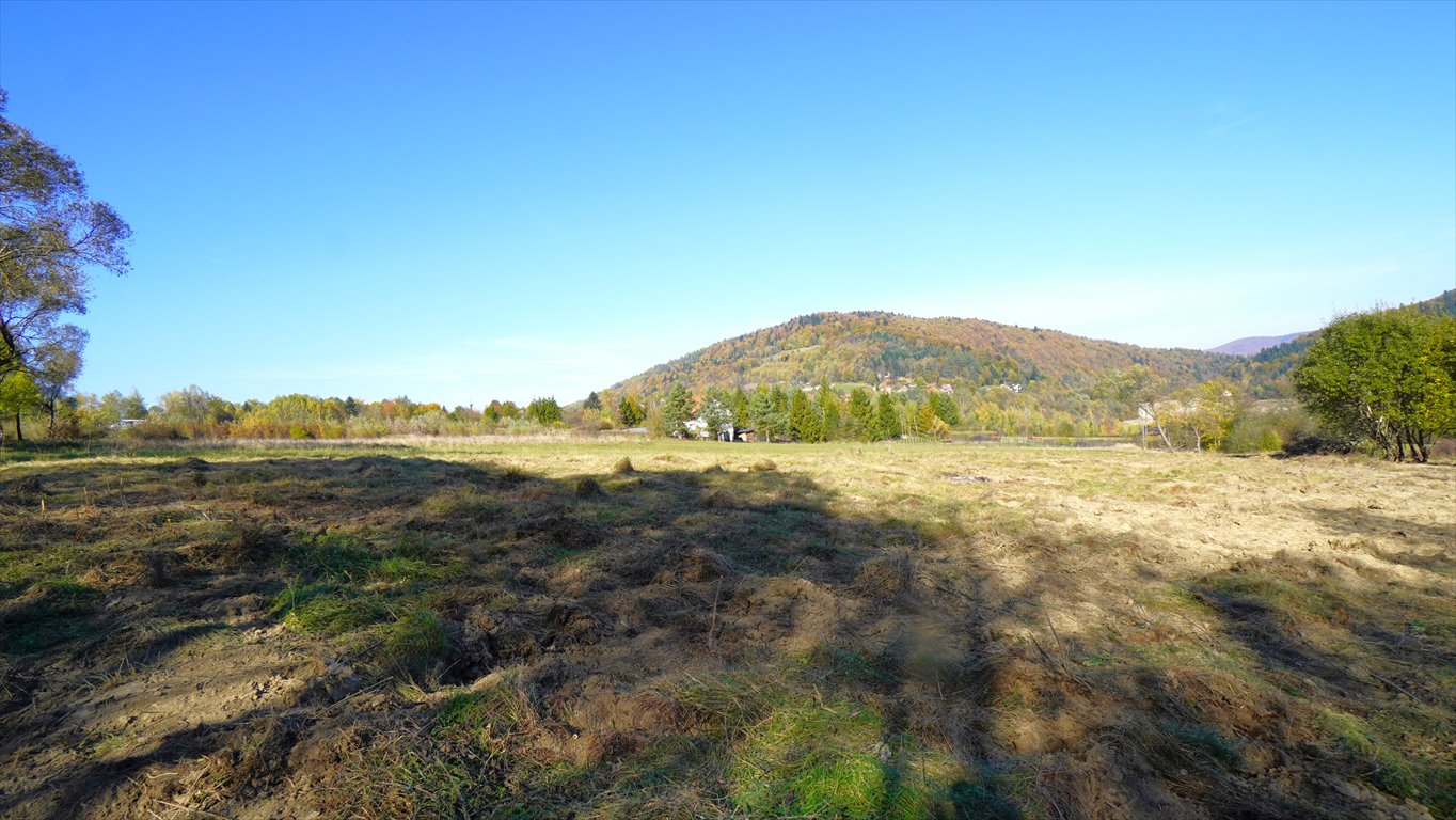 Działka budowlana na sprzedaż Klimkówka  11 300m2 Foto 6