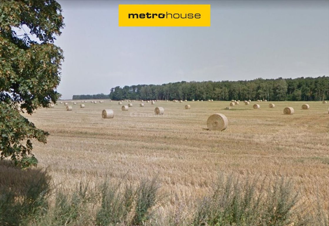 Działka budowlana na sprzedaż Dopiewo  59 500m2 Foto 1