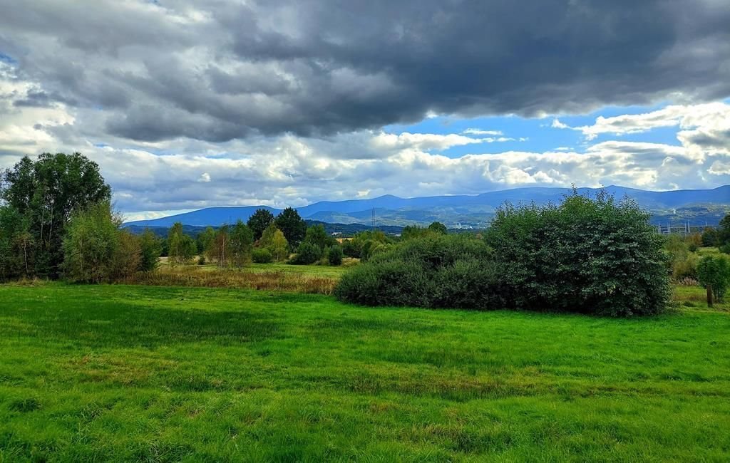 Działka inwestycyjna na sprzedaż Jelenia Góra, Goduszyn  10 549m2 Foto 2