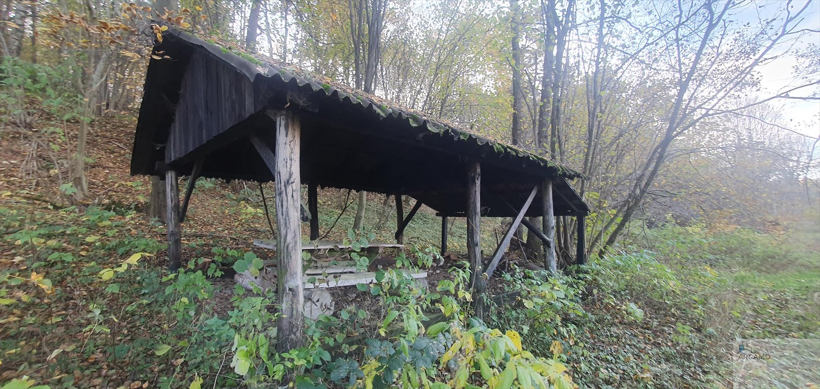 Działka budowlana na sprzedaż Zdów, Źródlana  32 295m2 Foto 3