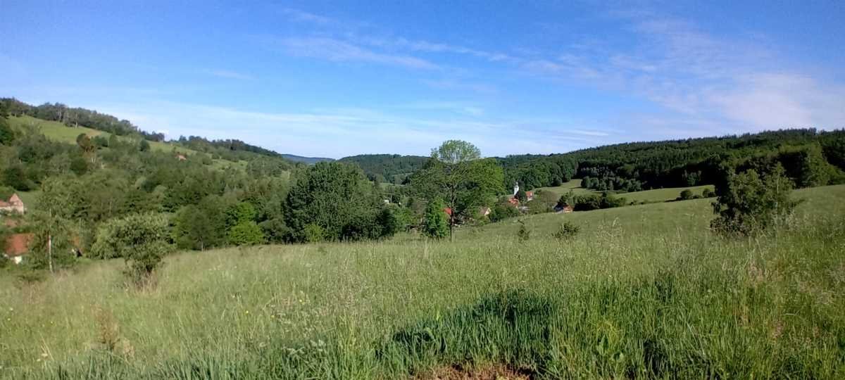 Działka budowlana na sprzedaż Michałkowa, Michałkowa  3 742m2 Foto 6