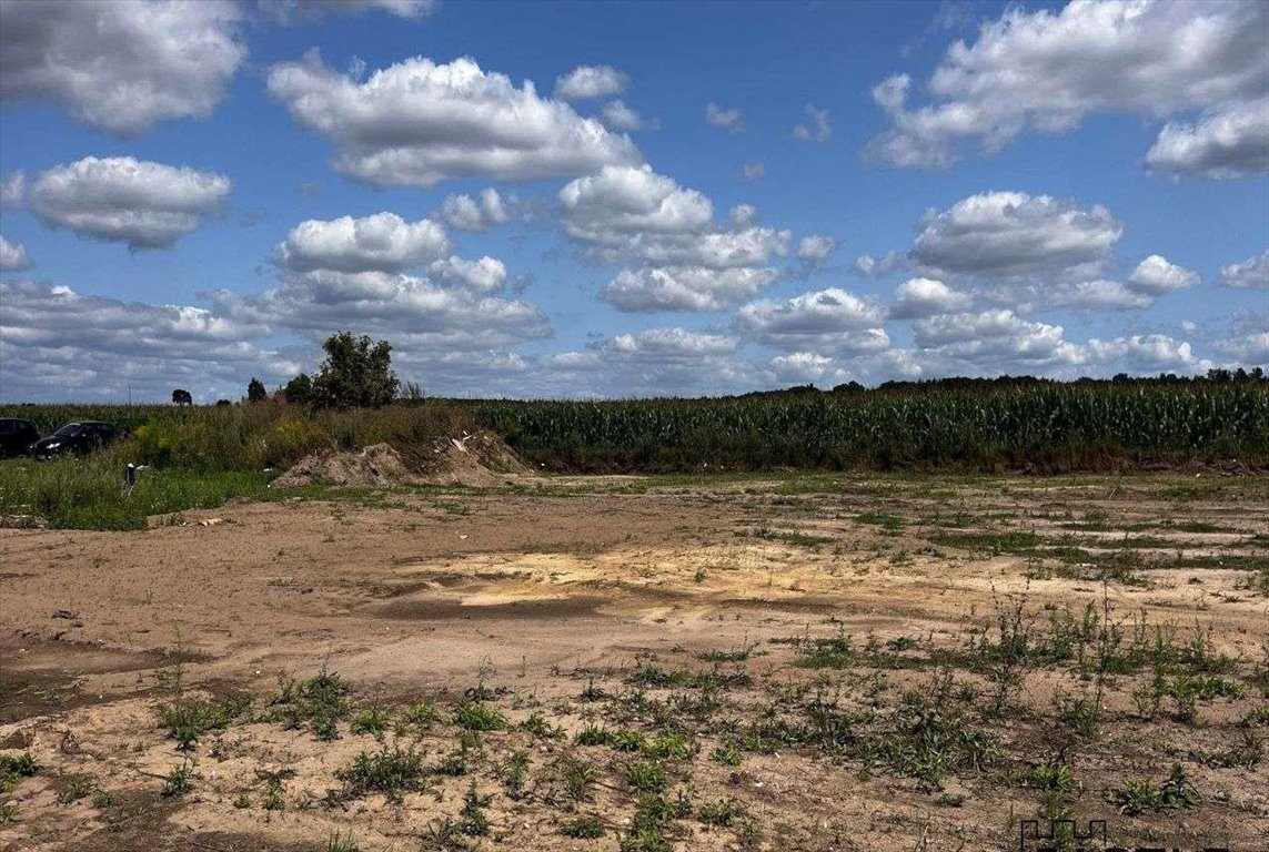 Działka budowlana na sprzedaż Bolewice  1 000m2 Foto 8