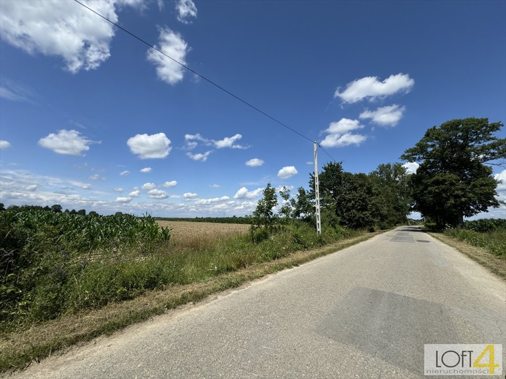 Działka budowlana na sprzedaż Borzęcin  4 400m2 Foto 12