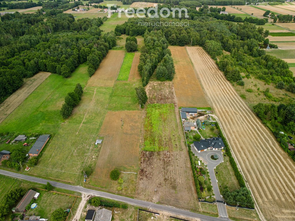 Działka budowlana na sprzedaż Drużbice  1 264m2 Foto 6