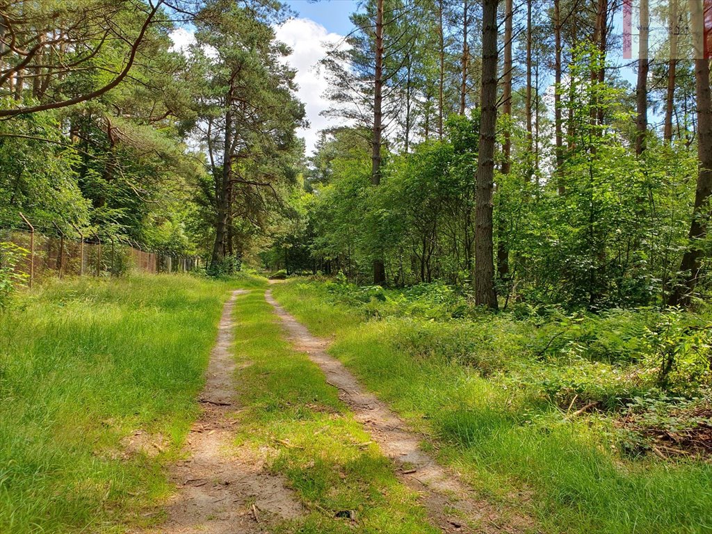 Działka leśna na sprzedaż Rozewie  1 590m2 Foto 2