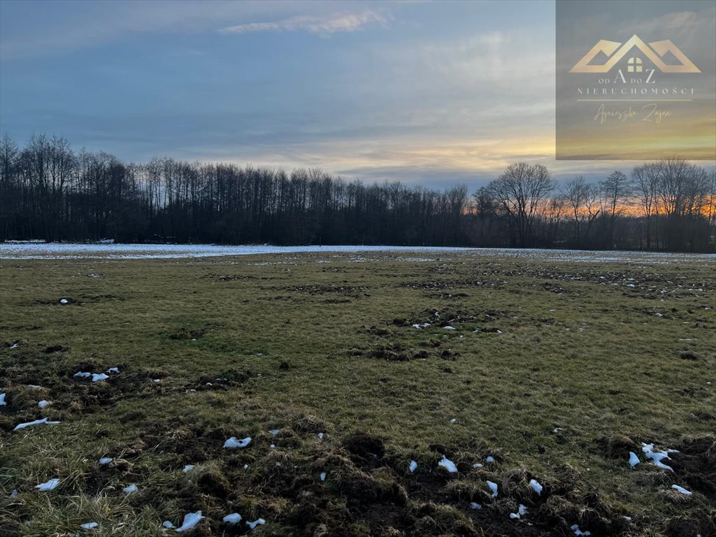 Działka rolna na sprzedaż Perła  2 600m2 Foto 3