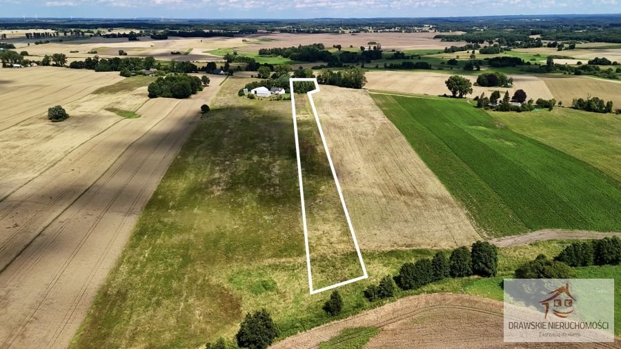 Działka rolna na sprzedaż Zagórzyce, Zagórzyce  10 800m2 Foto 6