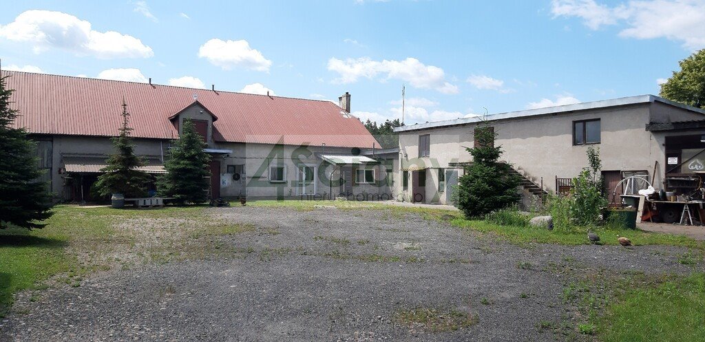 Działka 5600 m2 z mediami - las i zabudowa mieszkaniowa Nadarzyn  5 621m2 Foto 1