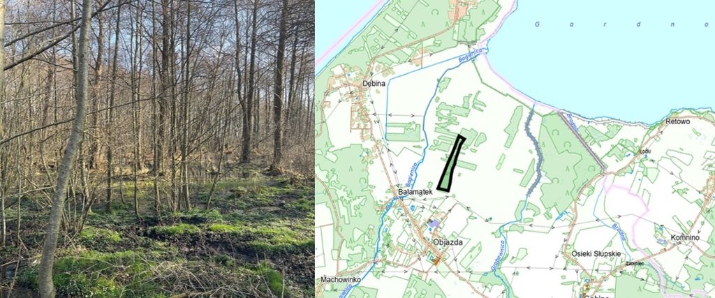 Działka leśna na sprzedaż Objazda  180 700m2 Foto 1