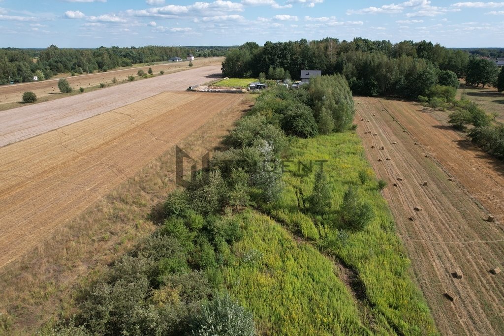 Działka budowlana na sprzedaż Wojciechowice  7 425m2 Foto 5