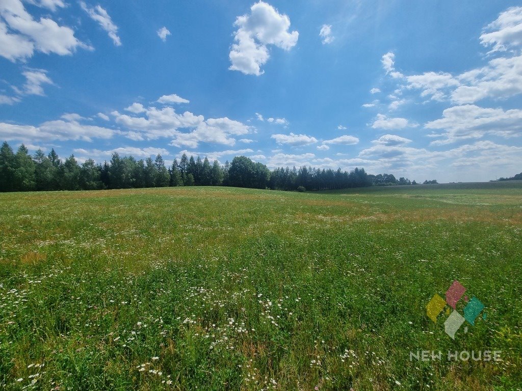 Działka budowlana na sprzedaż Pajtuny  3 193m2 Foto 7