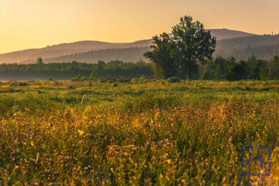 Działka budowlana na sprzedaż Świeradów-Zdrój  800m2 Foto 5