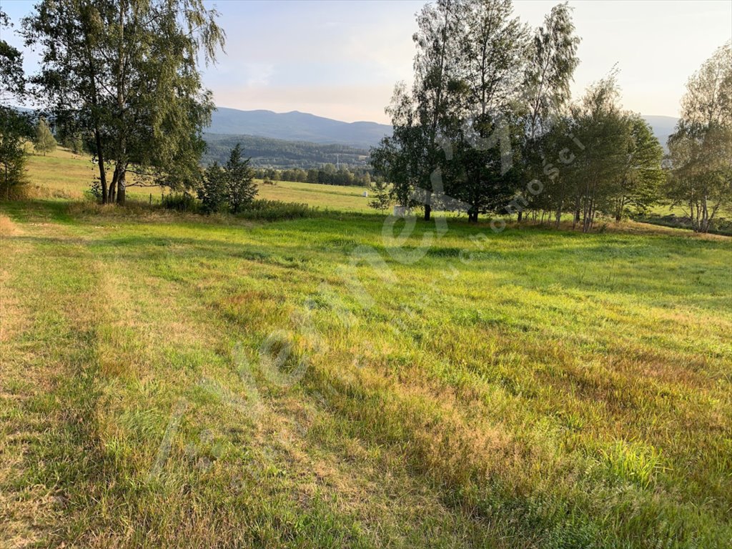 Działka budowlana na sprzedaż Jelenia Góra, Cieplice Śląskie-Zdrój  3 845m2 Foto 1