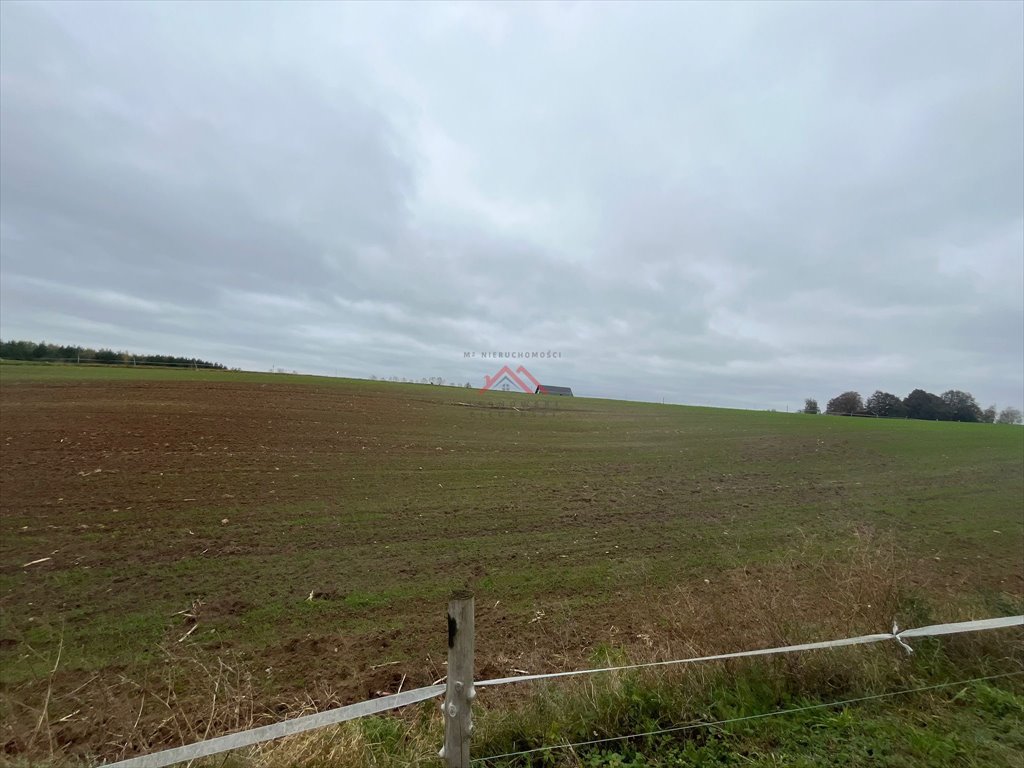 Działka budowlana na sprzedaż Szabda, Na Zamek  820m2 Foto 6