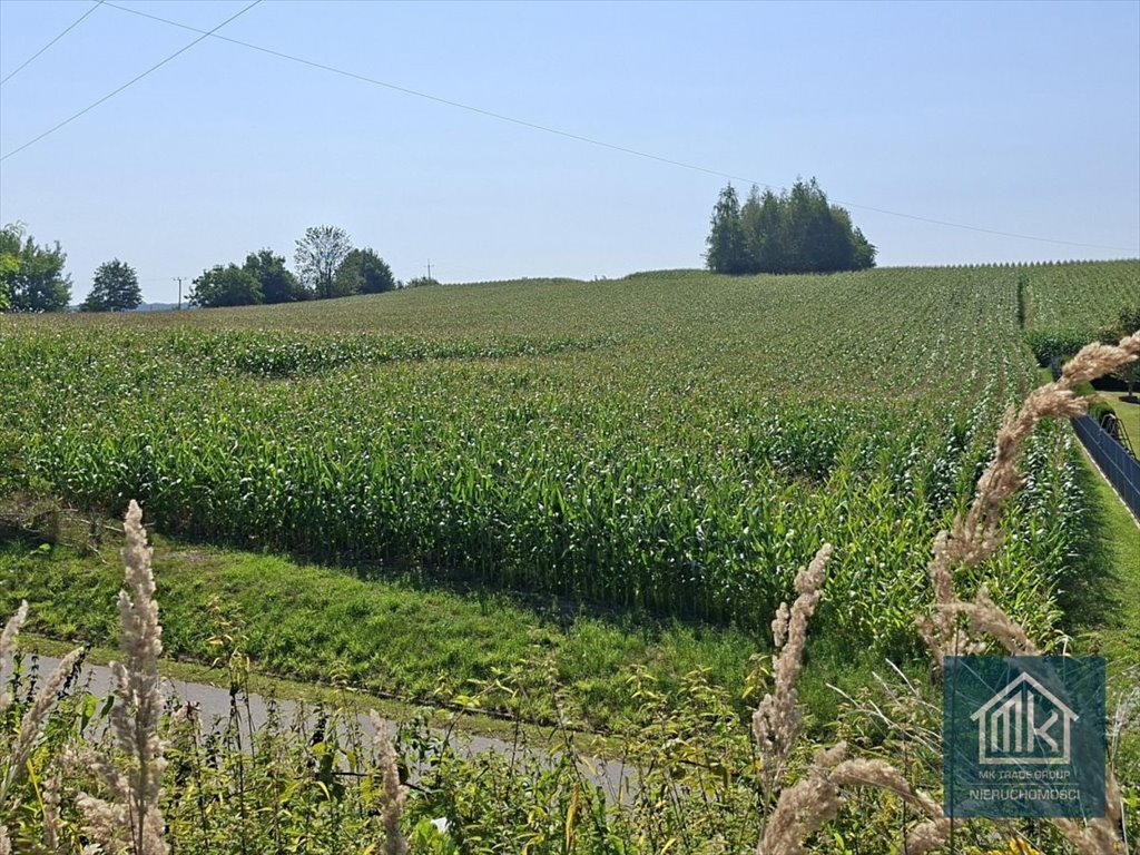 Działka budowlano-rolna 81 a z szybkim dojazdem do Krakowa Bodzanów  8 100m2 Foto 1