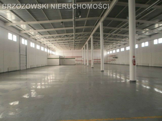 Lokal użytkowy na sprzedaż Warszawa, Ursynów, Dawidy  7 200m2 Foto 7