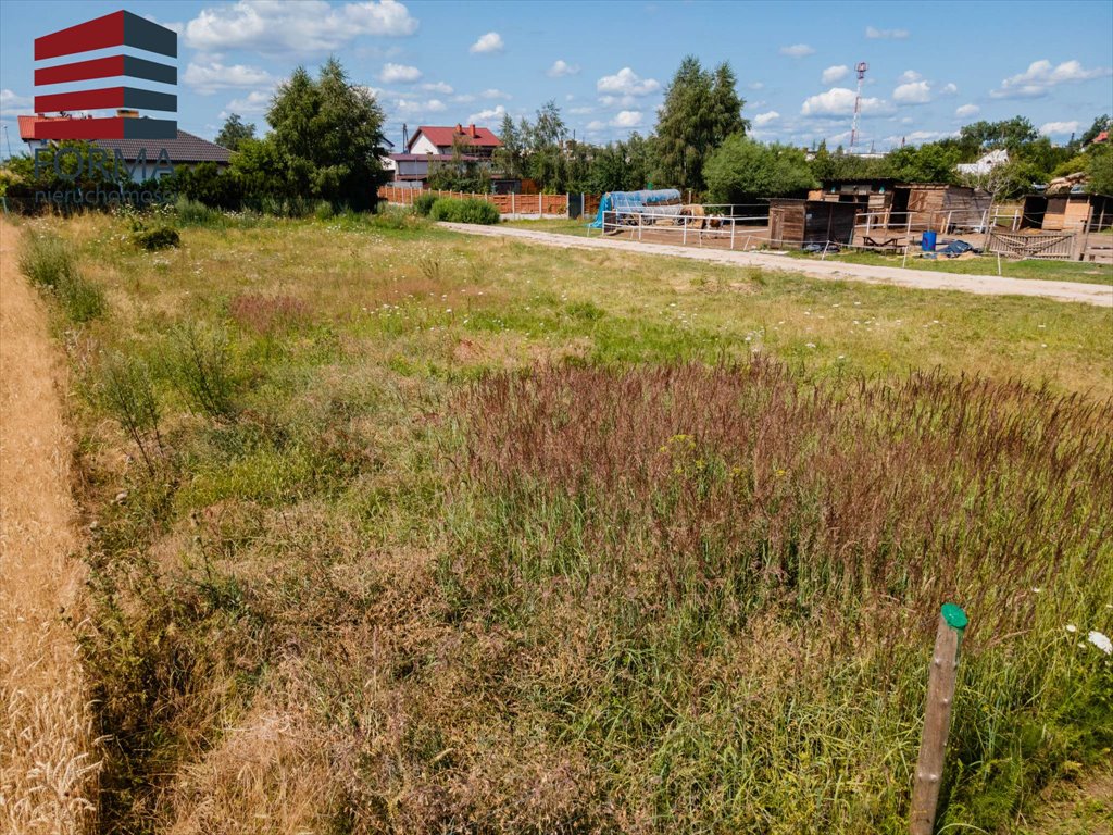 Działka budowlana na sprzedaż Duszniki, Duszniki, Kolejowa  1 008m2 Foto 14