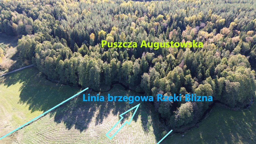 Działka rolna na sprzedaż Augustów  5 000m2 Foto 2