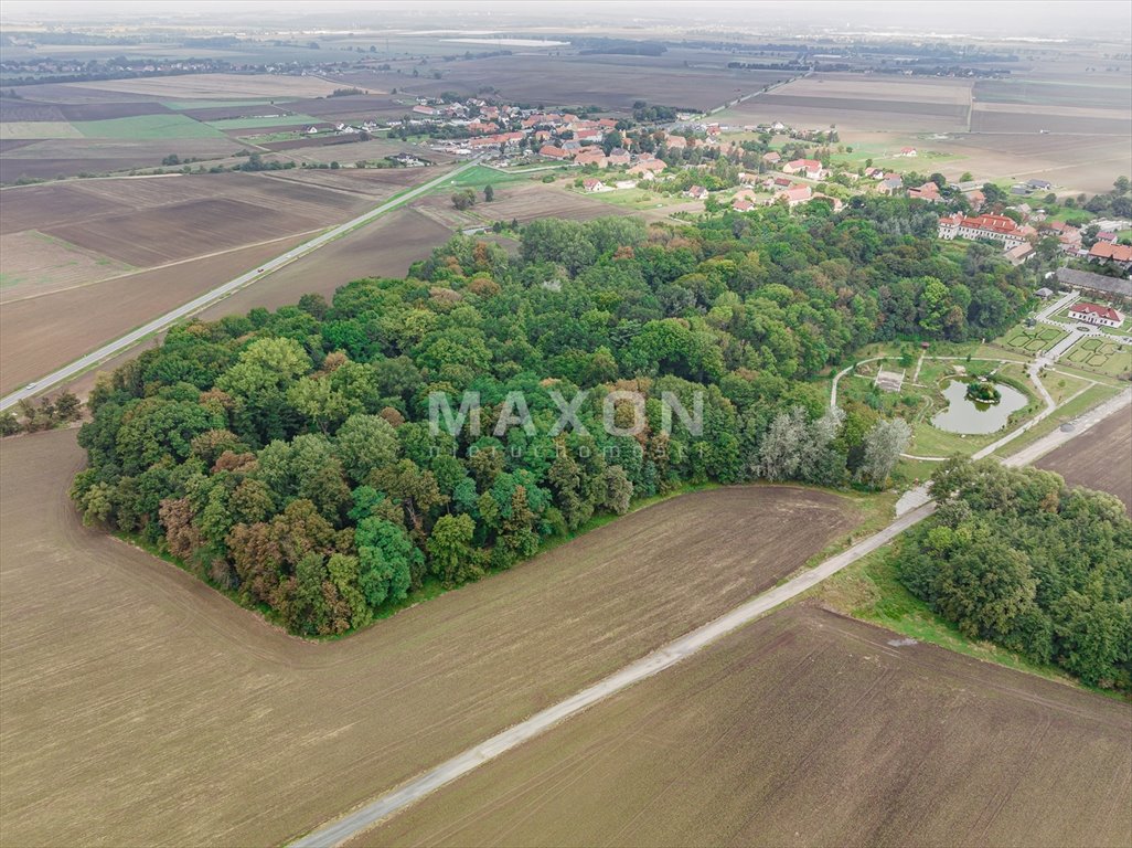 Dom na sprzedaż Małuszów  4 100m2 Foto 3