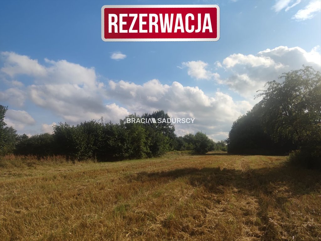 Działka budowlana na sprzedaż Wieliczka, Czarnochowice, Czarnochowicka  3 200m2 Foto 4