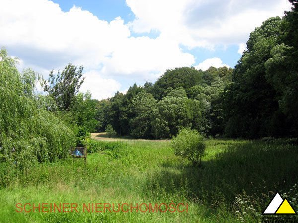 Działka budowlana na sprzedaż Leśna, Baworowa, Baworowo  5 138m2 Foto 5