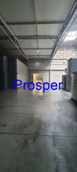 Hala magazynowo produkcyjna 6000 m² z biurem w Zabrzu Zabrze  6 000m2 Foto 1