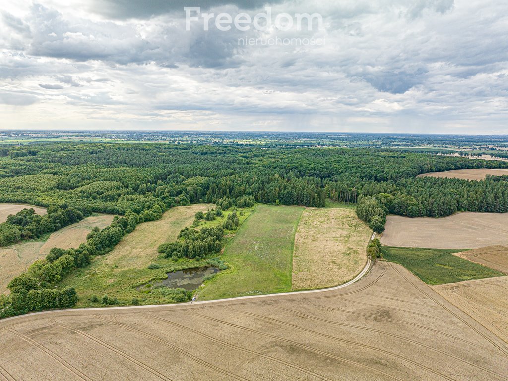 Działka rolna na sprzedaż Kwietniewo  22 800m2 Foto 2