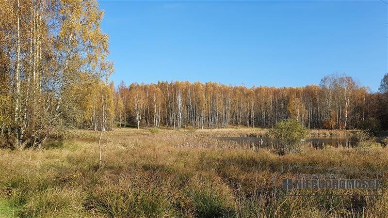 Działka inna na sprzedaż Przeradz, działki  43 278m2 Foto 8