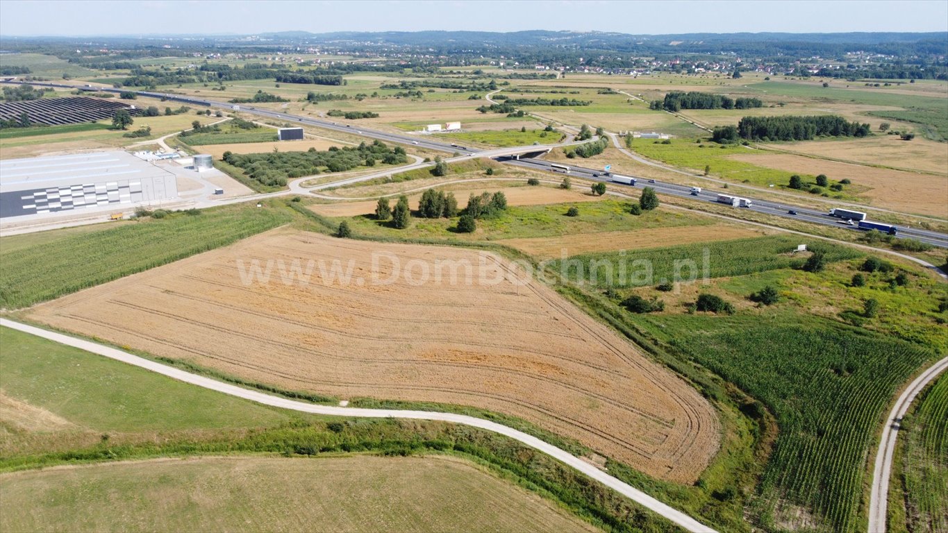 Działka przemysłowo-handlowa na sprzedaż Krzeczów  33 222m2 Foto 6