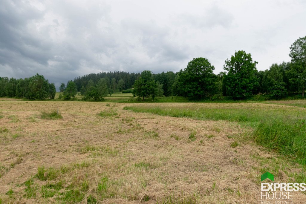 Działka budowlana na sprzedaż Stronie Śląskie, Polna  2 617m2 Foto 2