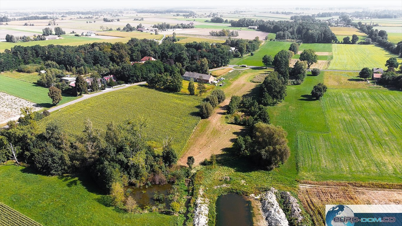 Działka budowlana na sprzedaż Borucin  15 658m2 Foto 7