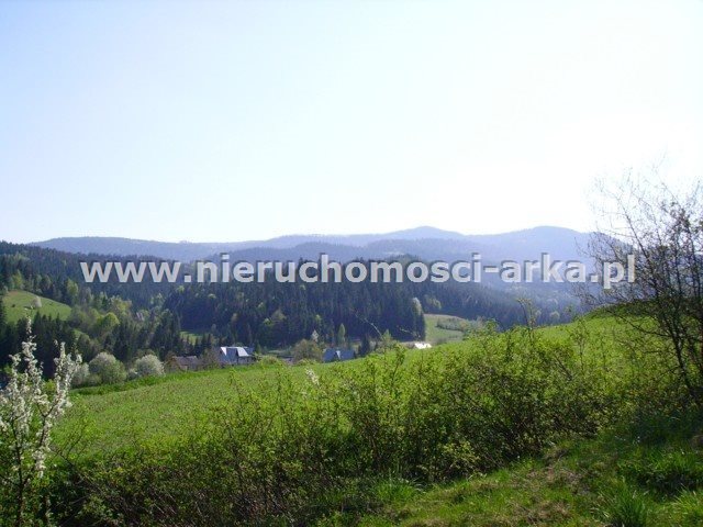 Działka budowlana na sprzedaż Szczawa 15 600m2 Foto 1 Działka budowlana na sprzedaż Szczawa 15 600m2 Foto 1