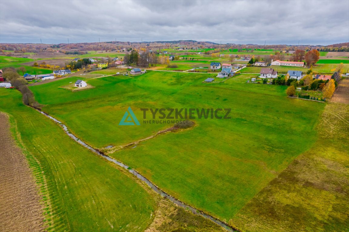 Działka rolna na sprzedaż Połęczyno  11 600m2 Foto 6