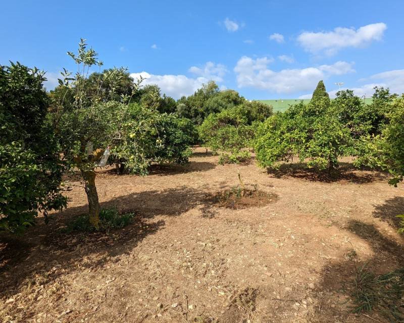 Działka budowlana na sprzedaż Hiszpania, Denia, Hiszpania, Sportcentrum  2 000m2 Foto 7