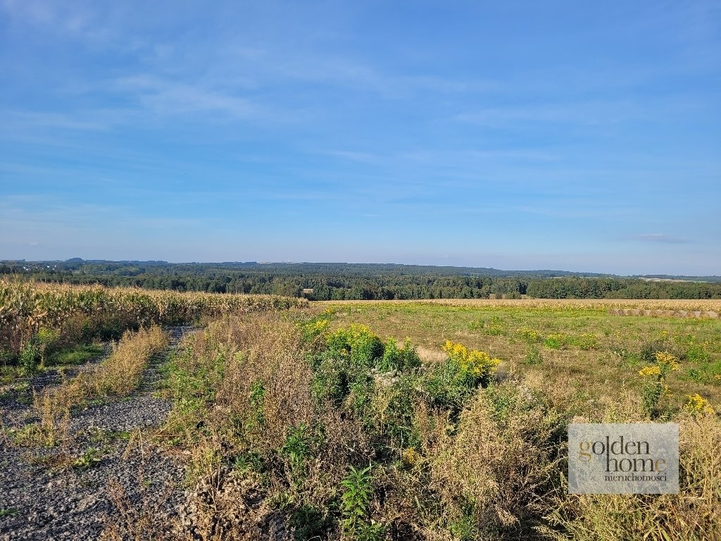 Działka budowlana na sprzedaż Krzewie Wielkie, Krzewie Wielkie  1 217m2 Foto 1