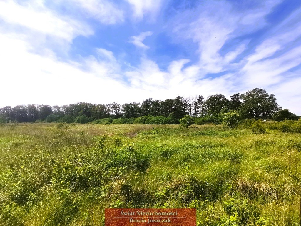 Działka budowlana na sprzedaż Brzezinka Średzka, Kolejowa  14 500m2 Foto 5