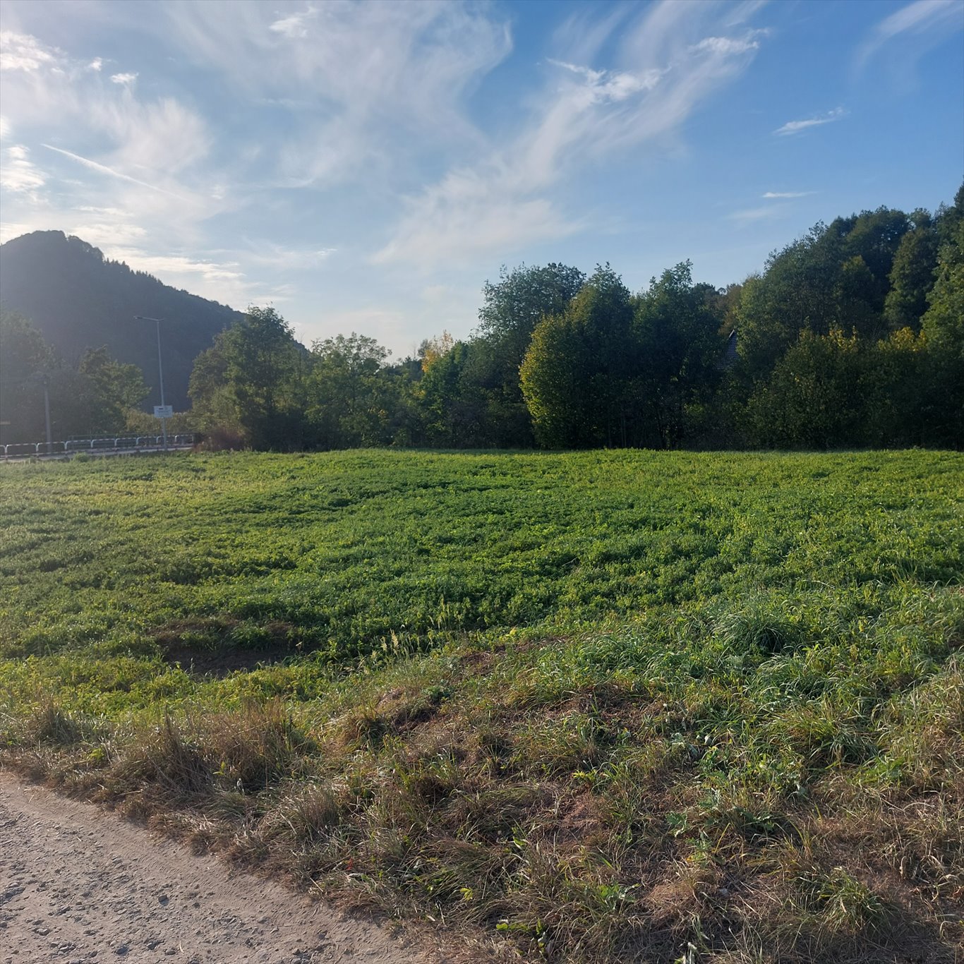 Działka budowlana na sprzedaż Szczawnica, Szlachtowa, Szlachtowa, Cieśliska  1 000m2 Foto 10