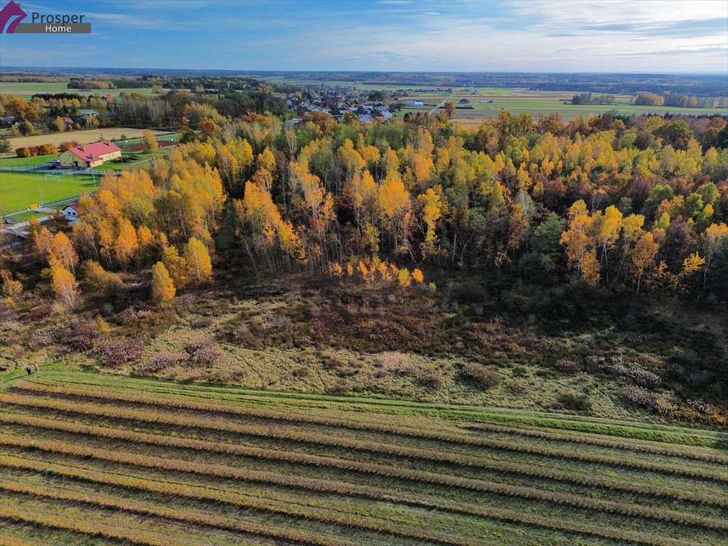 Działka 1598 m² z mediami, las, spokój - polecam! Brzyska Wola  1 598m2 Foto 1