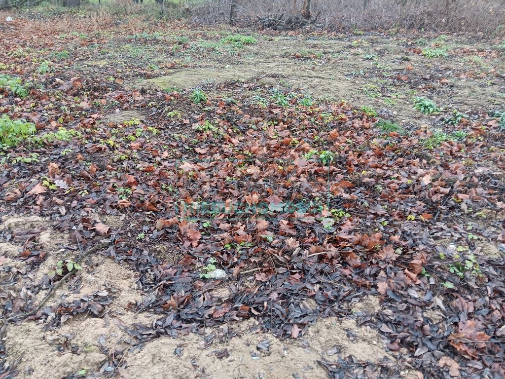 Działka budowlana na sprzedaż Terenia  1 782m2 Foto 4