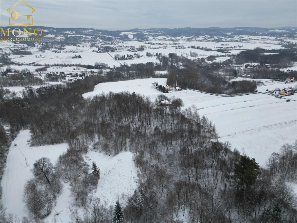 Działka inna na sprzedaż Łowczów  27 000m2 Foto 3