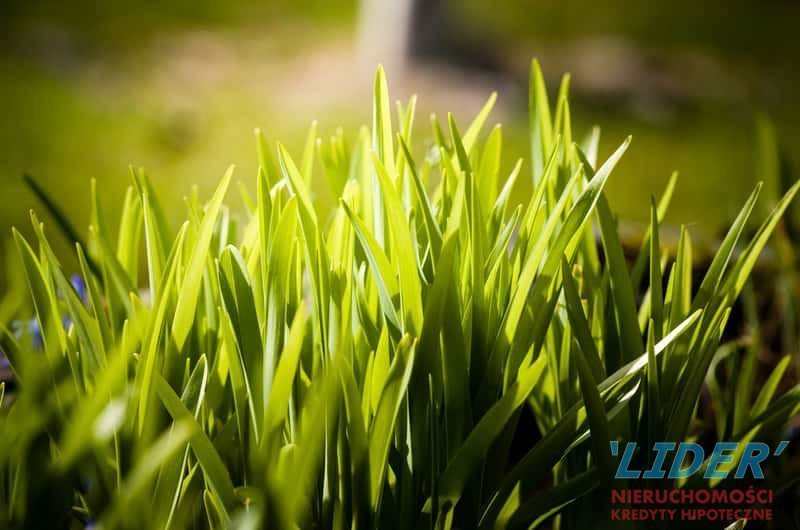 Działka budowlana na sprzedaż Sława 441m2 Foto 1 Działka budowlana na sprzedaż Sława 441m2 Foto 1